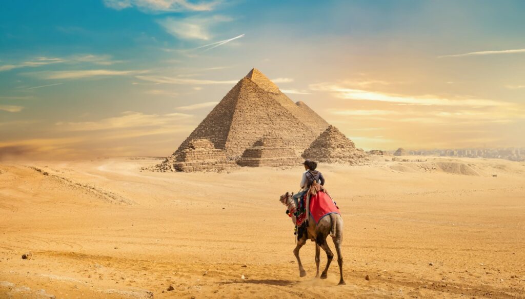 camel-and-the-pyramids
